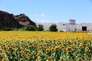 《马拉松》仍计划在索尼本财年内发售 Bungie失去独立性